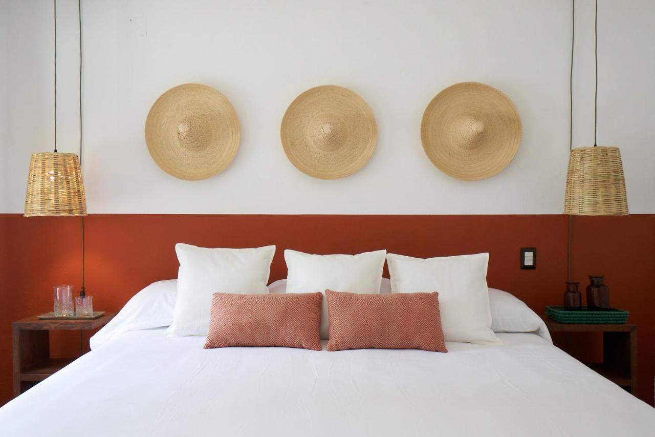 Amazinn Places Casa Coyoacan メキシコシティ エクステリア 写真